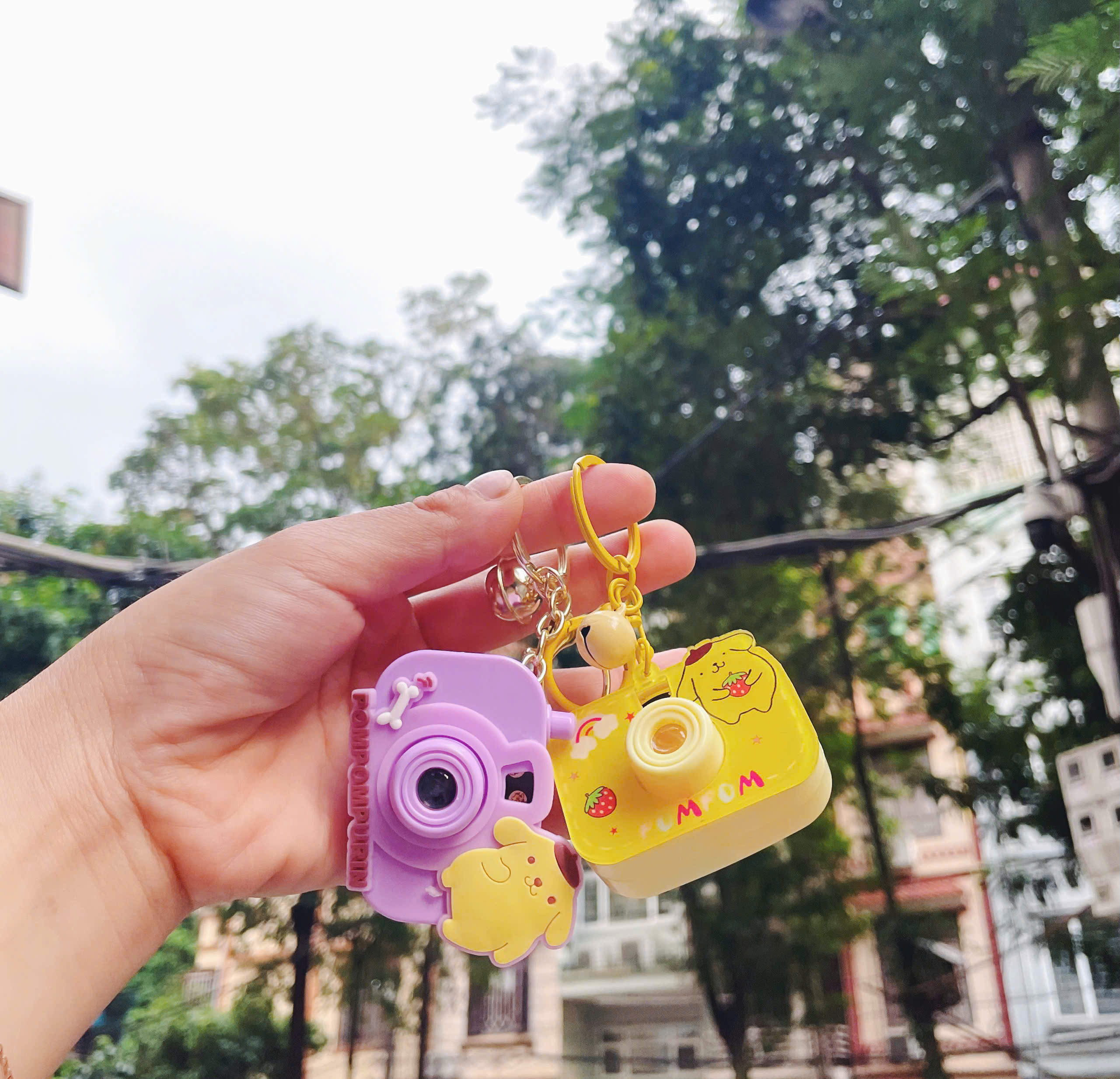 Móc khóa máy ảnh đồ chơi mini, chiếu hình các nhân vật hoạt hình sanrio, capybara, đồ chơi máy ảnh chiếu hình cute