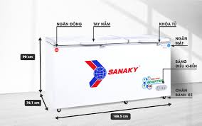 Tủ đông Sanaky VH6699W3