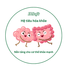 Hệ tiêu hóa khỏe – Nền tảng vững chắc cho một cơ thể khỏe mạnh toàn diện
