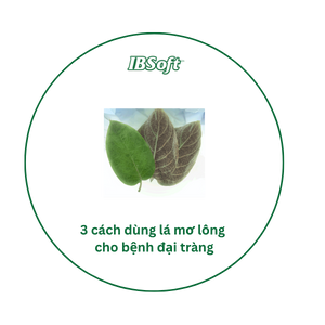 3 cách dùng lá mơ lông cho bệnh đại tràng