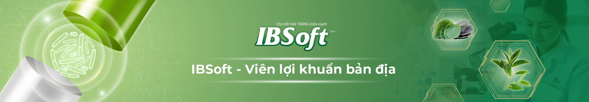 IBSoft