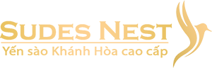 Siêu Thị Gia Đình NT