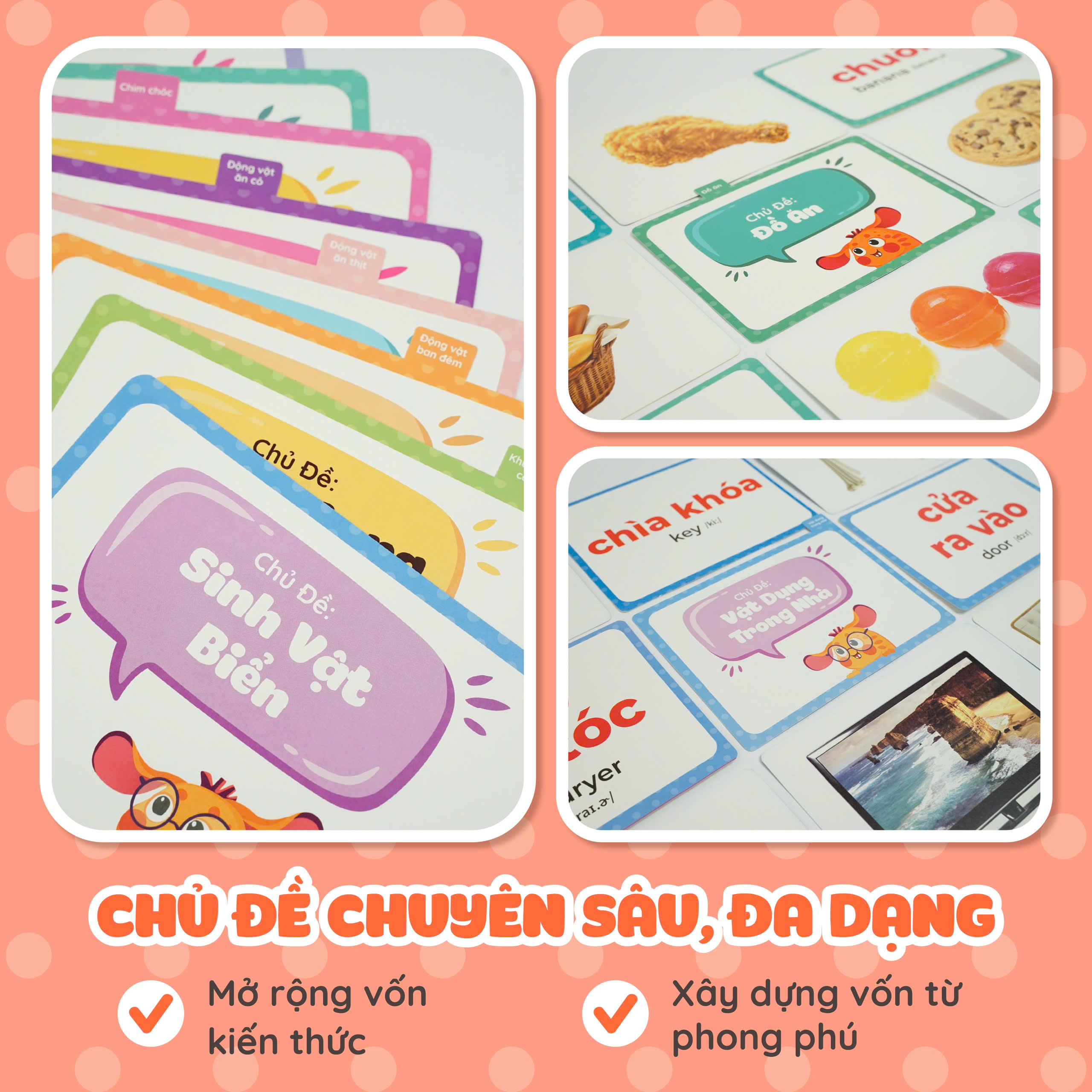 Thẻ học thông minh Lala Lingo, Flashcard nhiều chủ đề dành cho bé