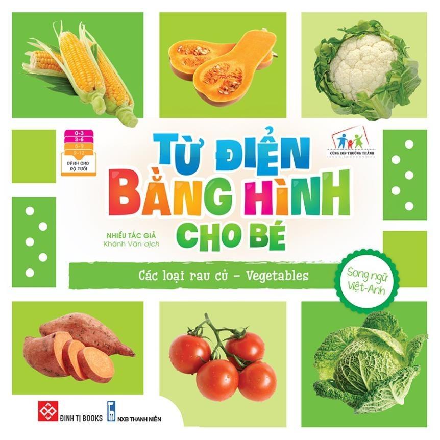 Sách - Từ Điển Bằng Hình Cho Trẻ Mầm Non  - Đinh Tị Books