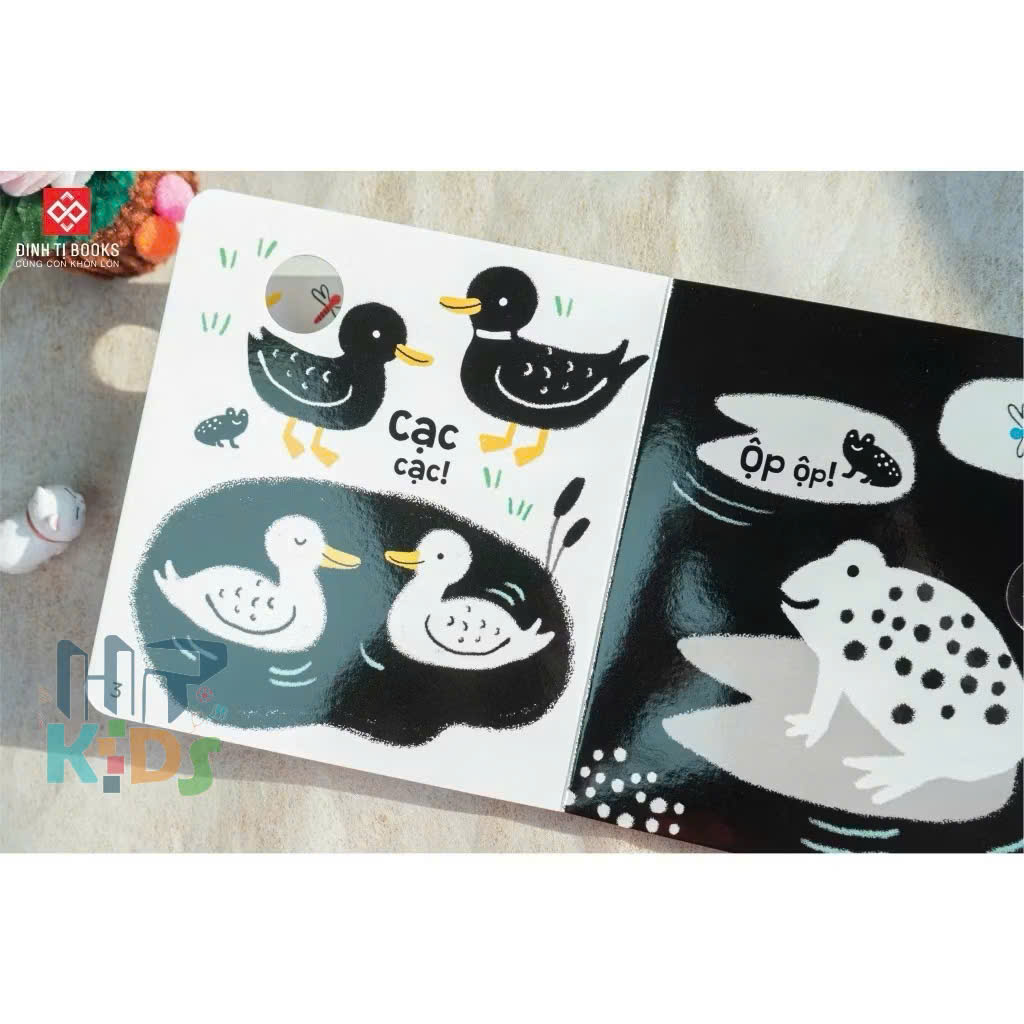 Sách kích thích thị giác - Đen trắng và màu sắc tương phản cho bé 0 -3 tuổi - Đinh Tị Books
