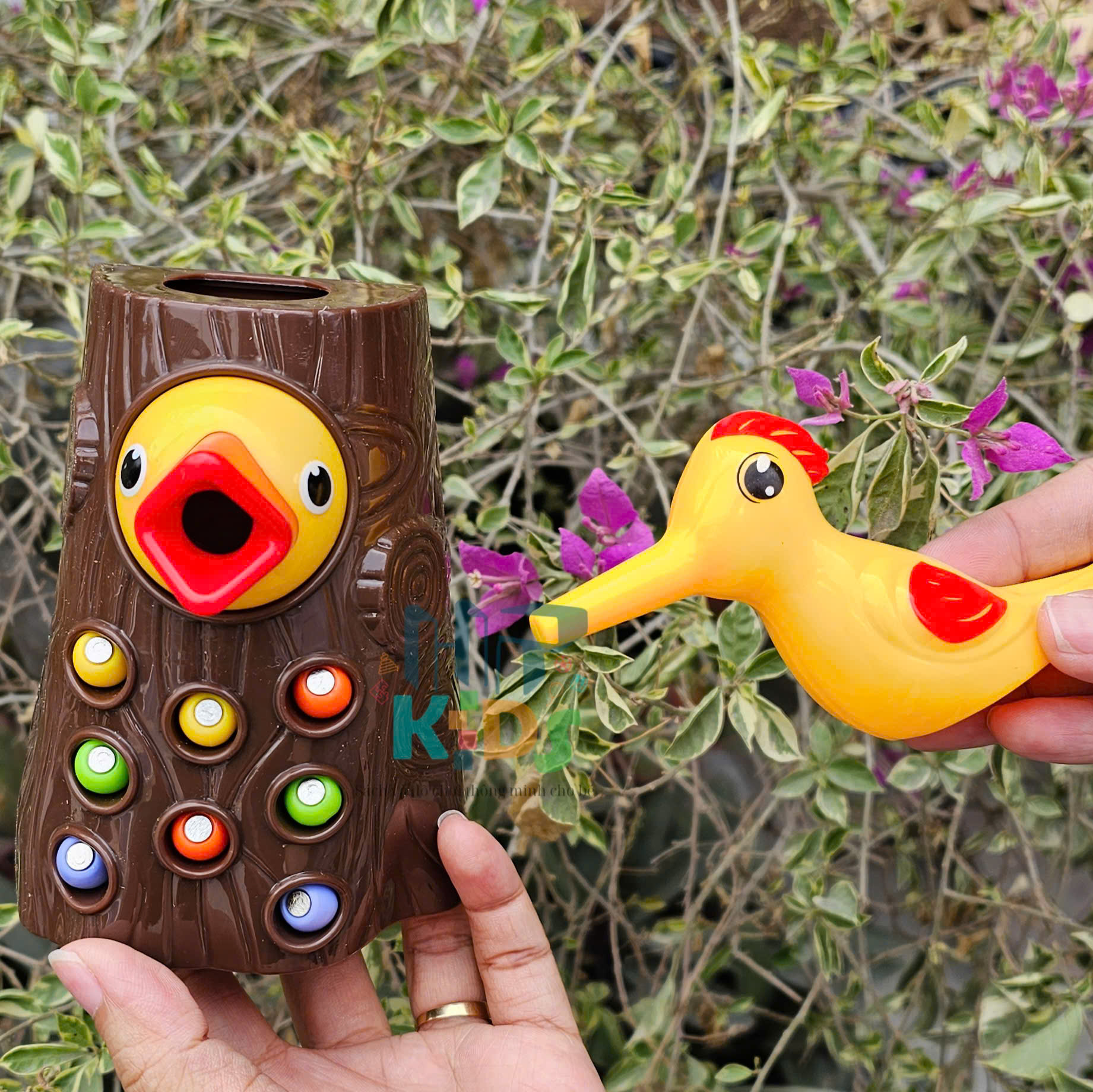 Bộ Đồ Chơi Nam Châm Chim Gõ Kiến Bắt Sâu Giáo Dục Vận Động - Unisex 2 Tuổi Trở Lên