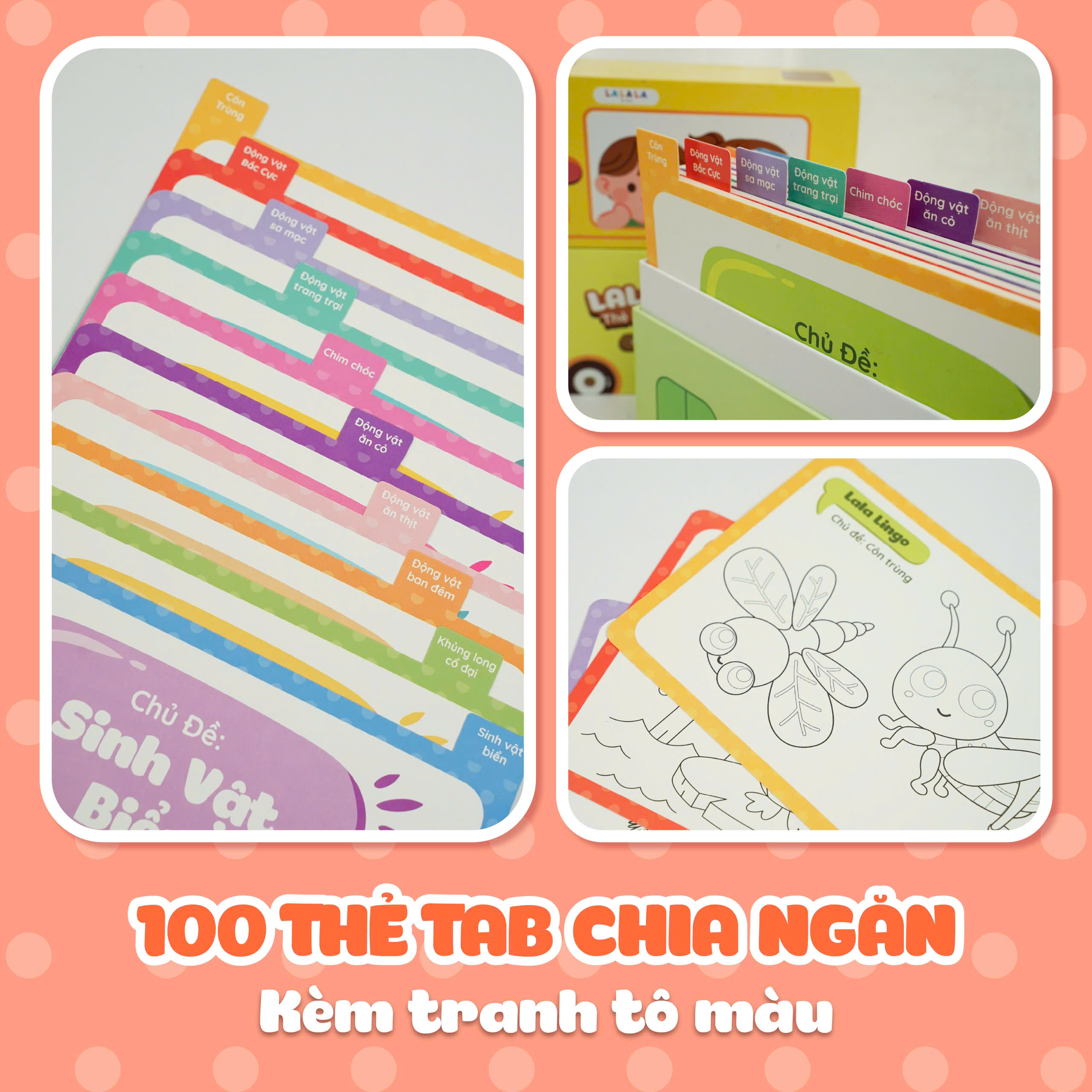 Thẻ học thông minh Lala Lingo, Flashcard nhiều chủ đề dành cho bé