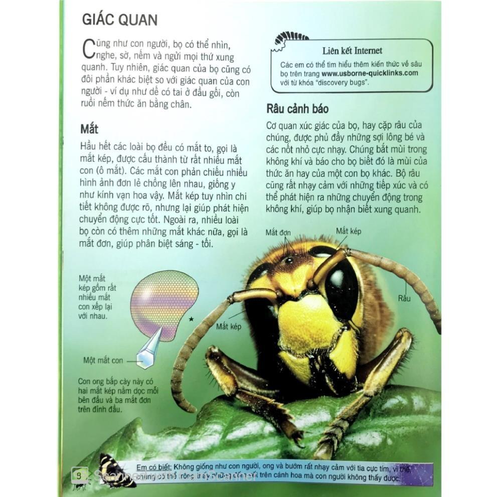 Sách - Bách Khoa Tri Thức Về Khám Phá Thế Giới Cho Trẻ Em - Các Loài Sâu Bọ - Đinh Tị