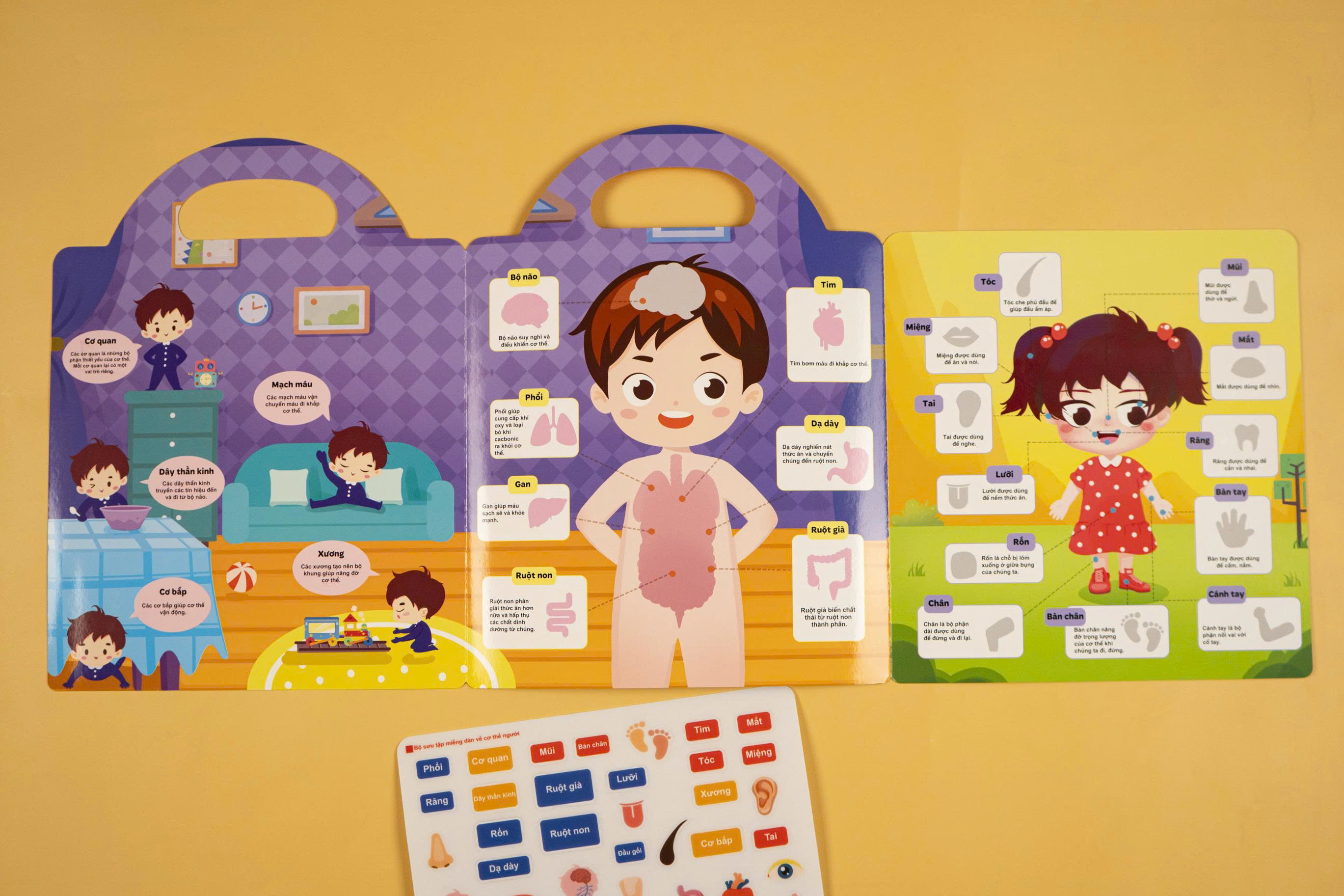 Tranh dán sticker sử dụng được nhiều lần mẫu Tiếng Việt nhiều chủ đề cho bé chọn