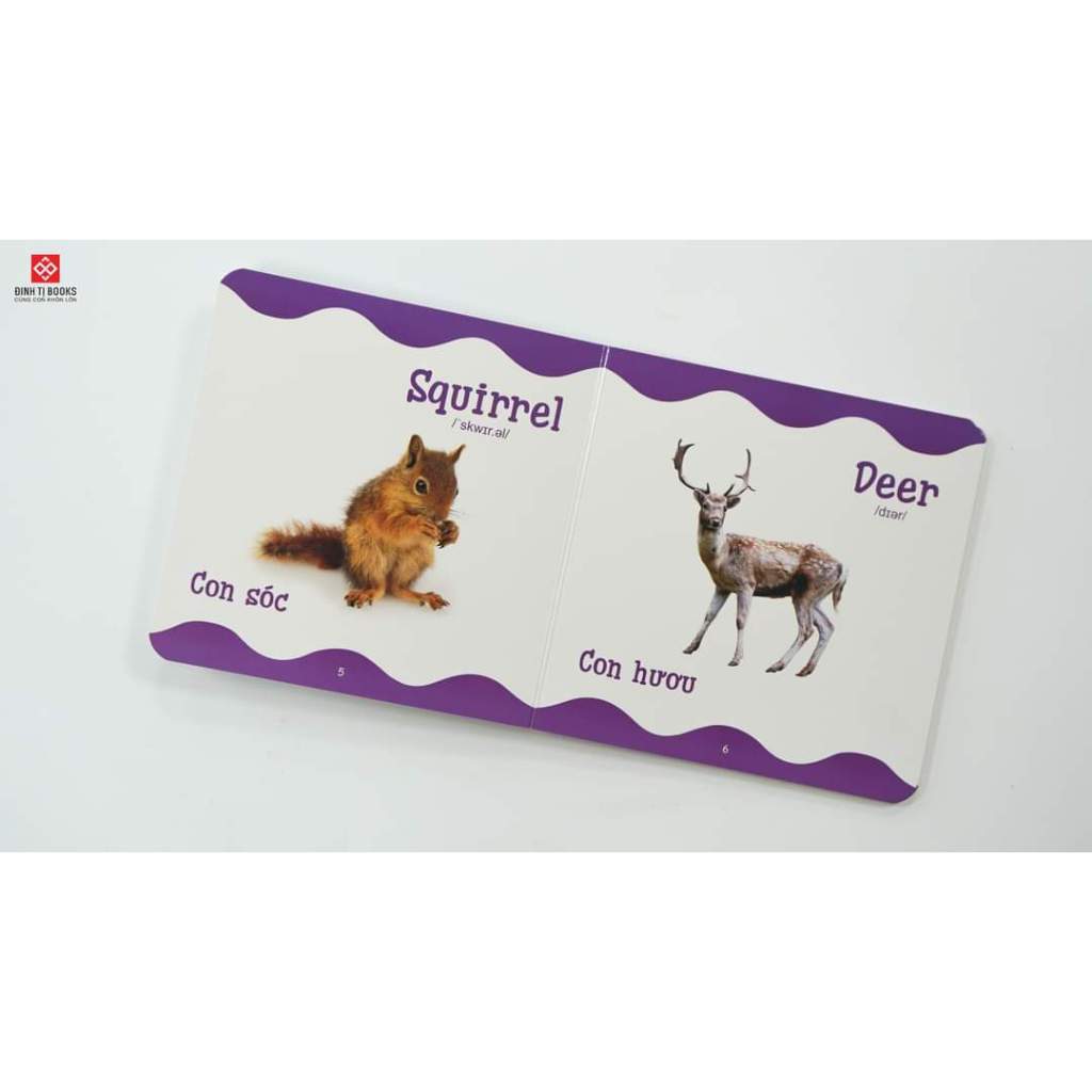 Sách - Từ Điển Bằng Hình Cho Trẻ Mầm Non  - Đinh Tị Books