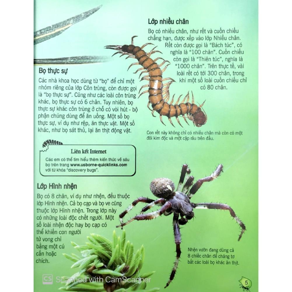 Sách - Bách Khoa Tri Thức Về Khám Phá Thế Giới Cho Trẻ Em - Các Loài Sâu Bọ - Đinh Tị