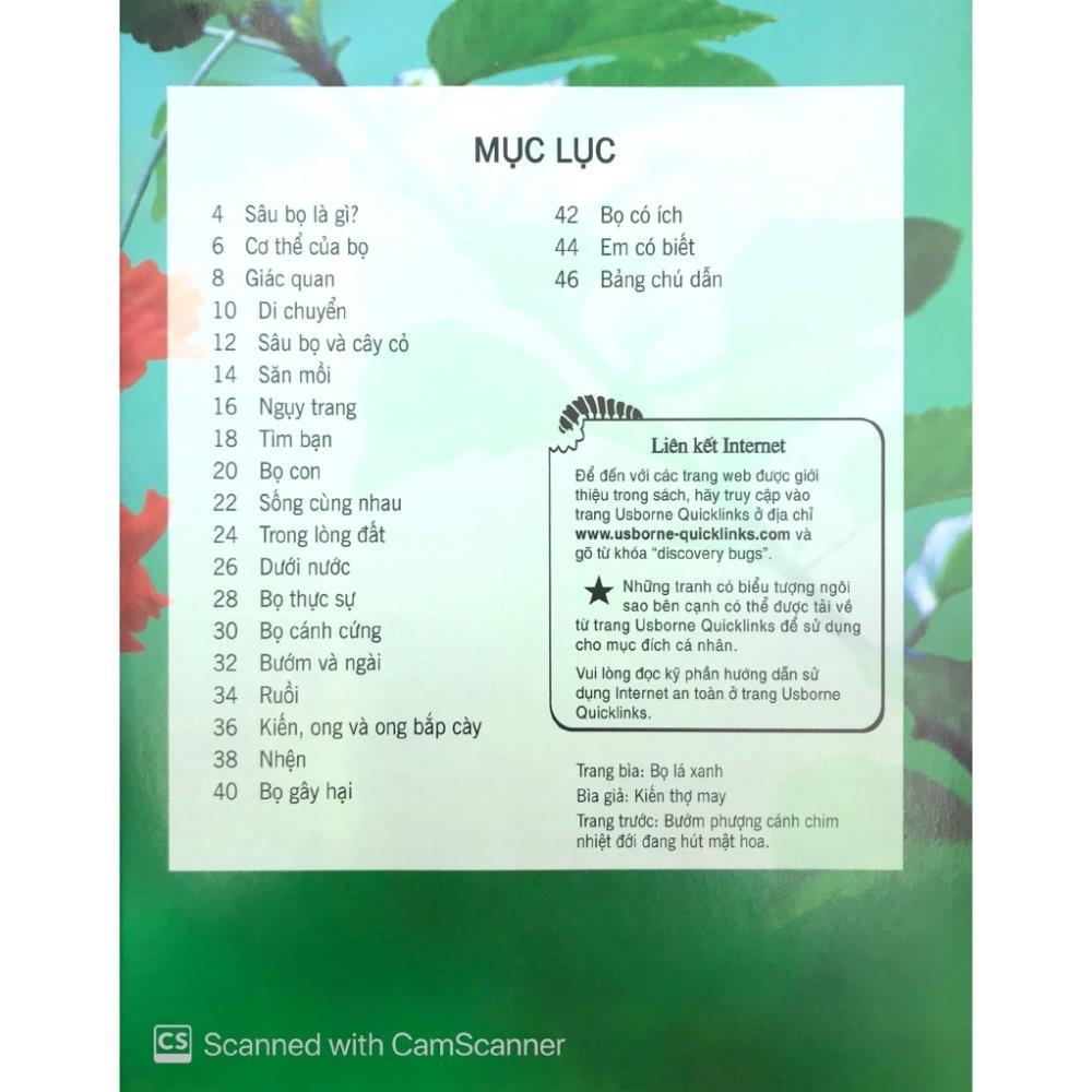 Sách - Bách Khoa Tri Thức Về Khám Phá Thế Giới Cho Trẻ Em - Các Loài Sâu Bọ - Đinh Tị