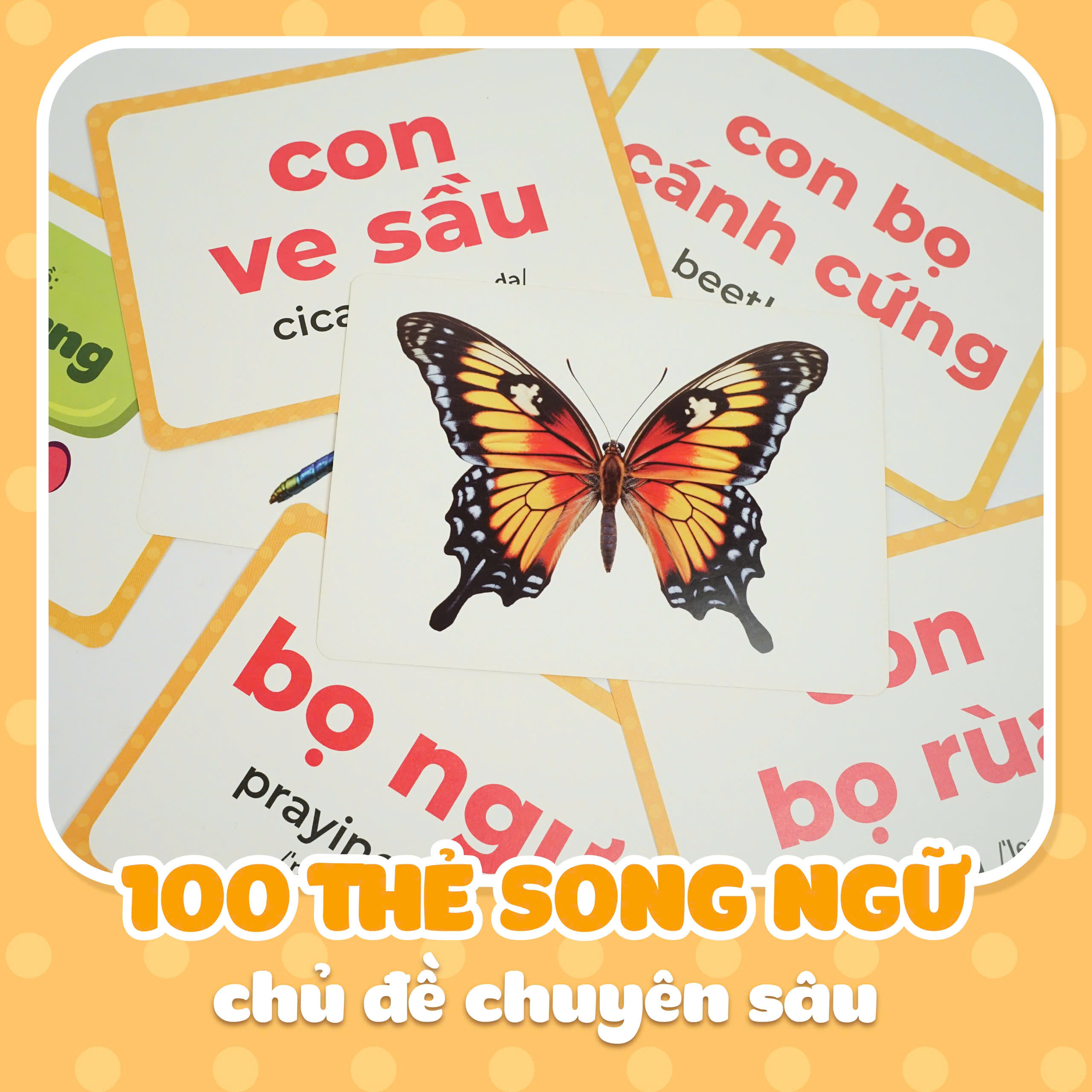 Thẻ học thông minh Lala Lingo, Flashcard nhiều chủ đề dành cho bé