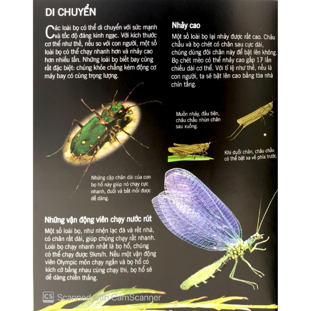 Sách - Bách Khoa Tri Thức Về Khám Phá Thế Giới Cho Trẻ Em - Các Loài Sâu Bọ - Đinh Tị