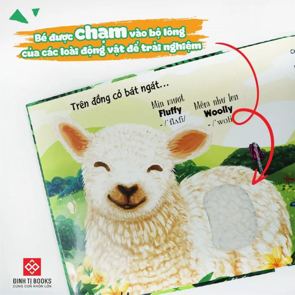 Sách sờ chạm - Gíup bé phát triển đa giác quan nhiều chủ đề - Đinh Tị