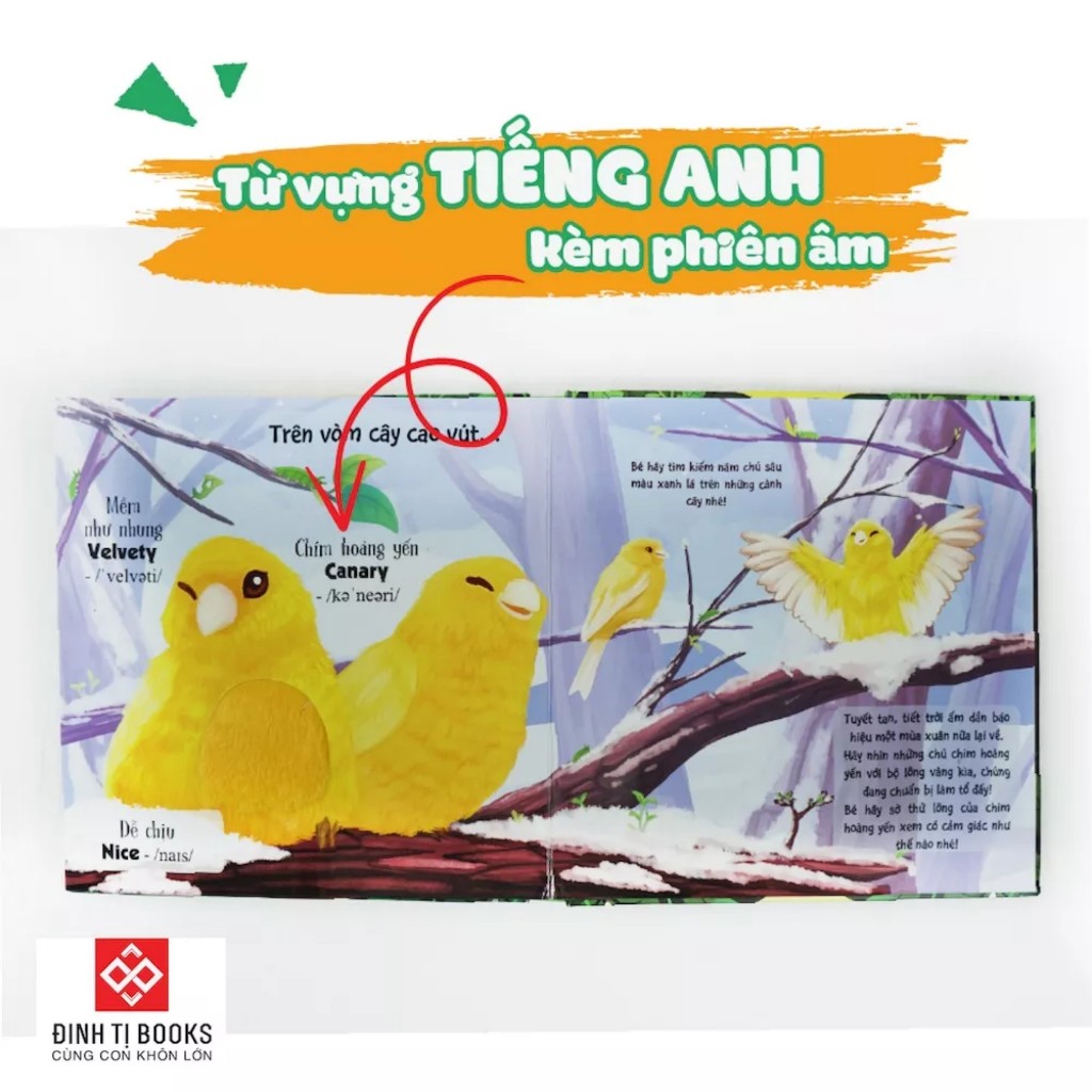 Sách sờ chạm - Gíup bé phát triển đa giác quan nhiều chủ đề - Đinh Tị