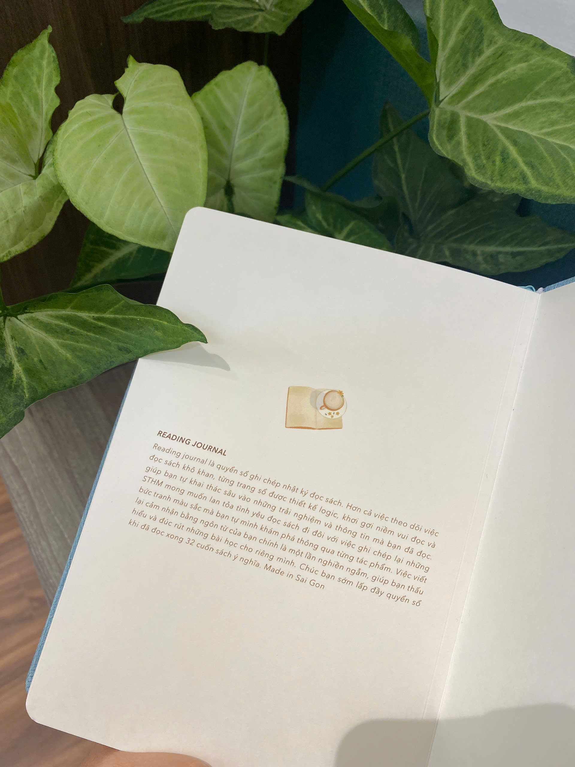 Reading Journal - Nhật ký đọc sách, viết lạicảm nghĩ về sách - Teal