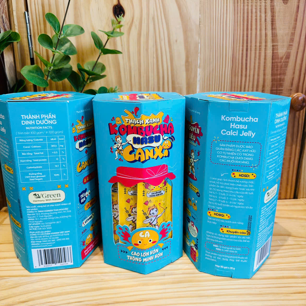 Thạch xanh Kombucha Hasu Canxi 1050gr - Vgreen