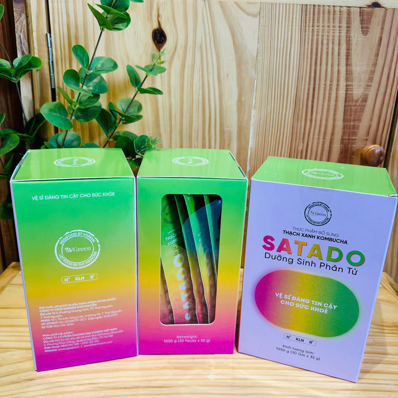 Thạch xanh kombucha SATADO Dưỡng sinh phân tử - Vgreen