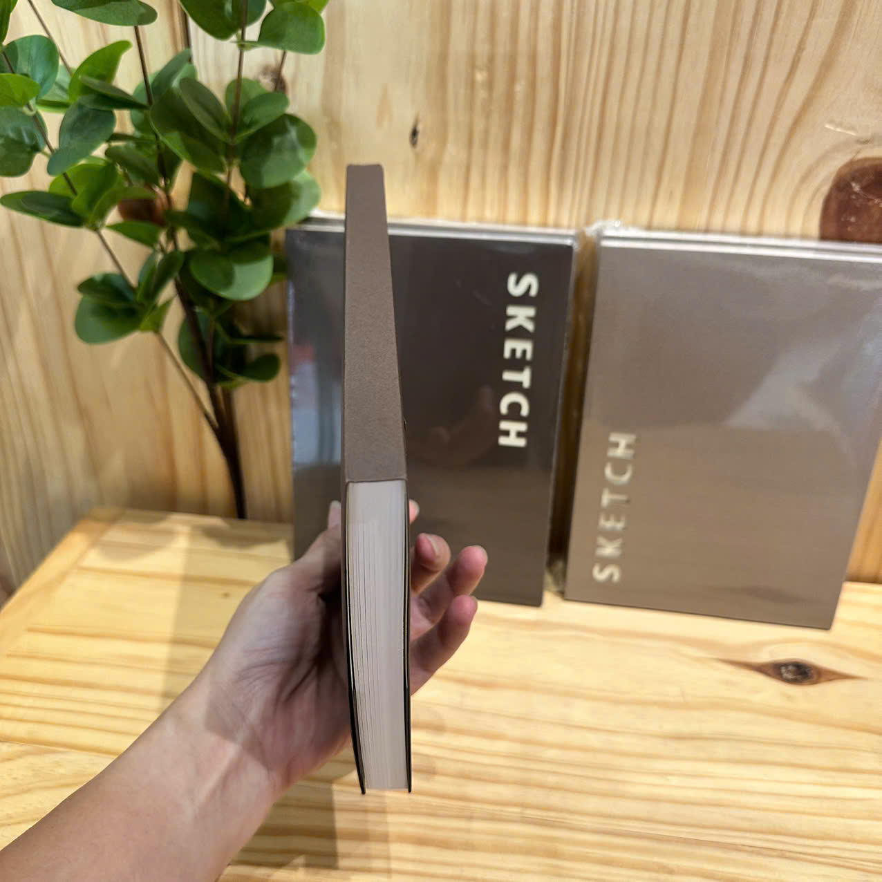 Sketchbook cấn răng cưa - Americano