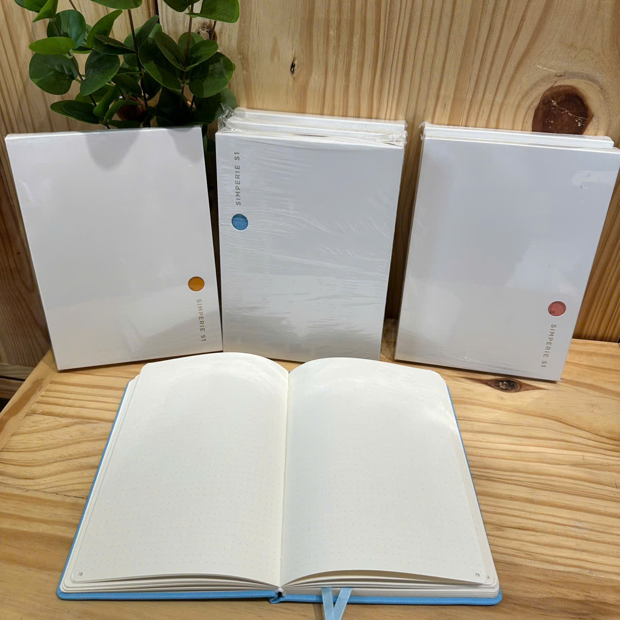 SIMPERIE S1 - Mars -Dot