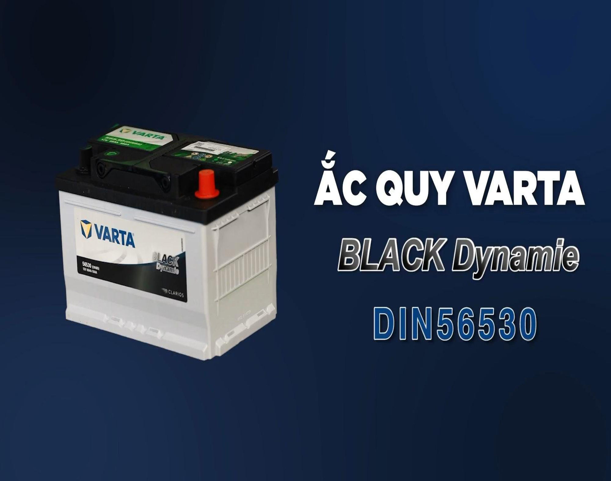 Ắc quy Varta 12V 65AH DIN 56530 MF7806