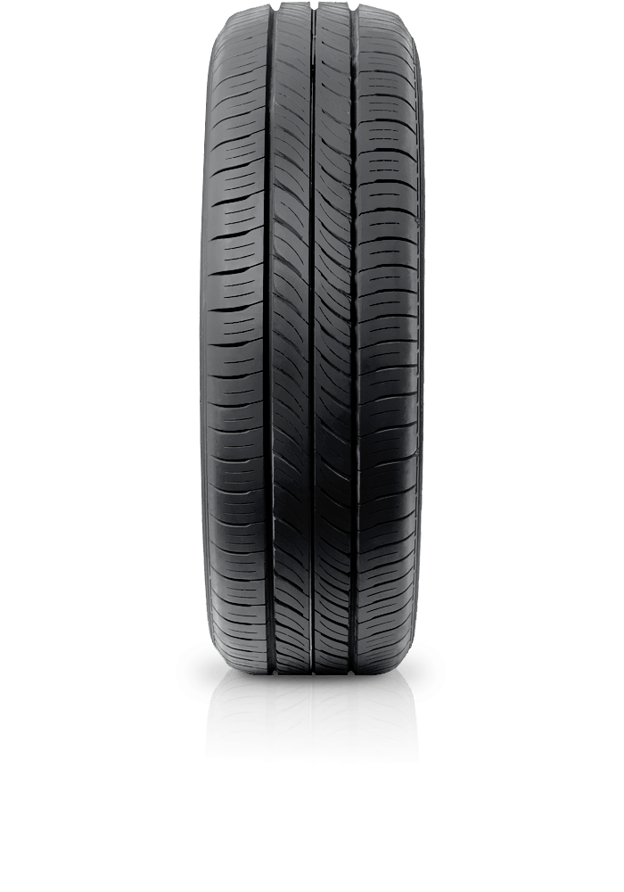 Lốp DUNLOP 215/55R16 Enasave EC300