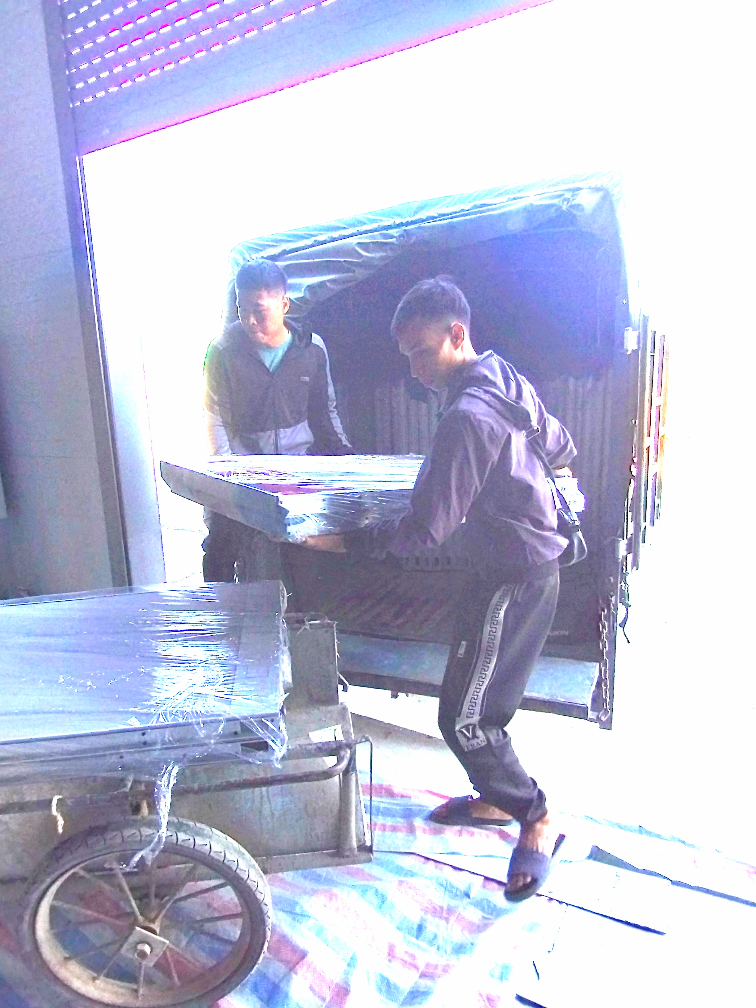 BOC XEP HANG HOA HAI PHONG