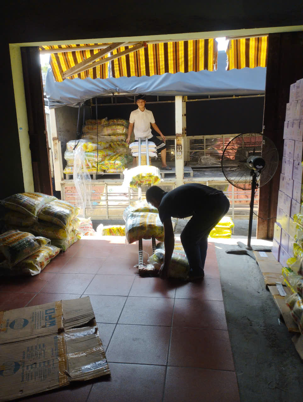 BOC XEP HAI PHONG