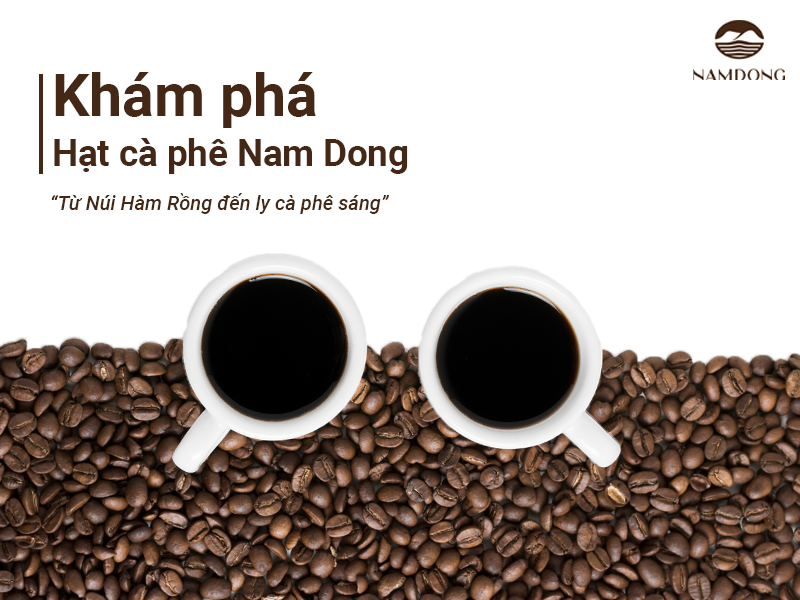 Khám Phá Hạt Cà Phê Nam Dong – Hương Vị Thiên Nhiên