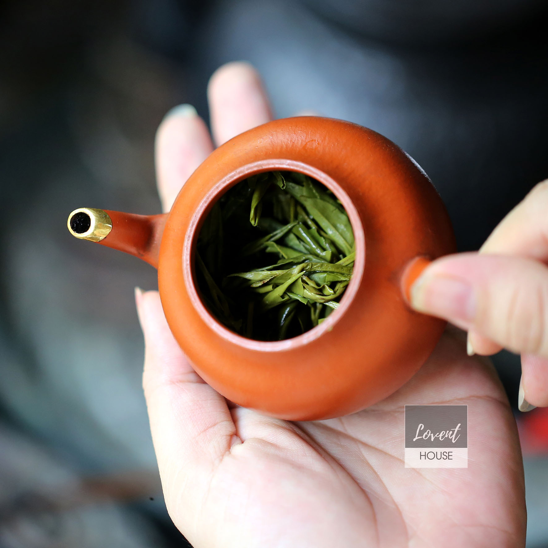 Trà Long Tỉnh Hàng Châu - Hộp Thiếc 100g Thập Đại Danh Trà Trung Hoa