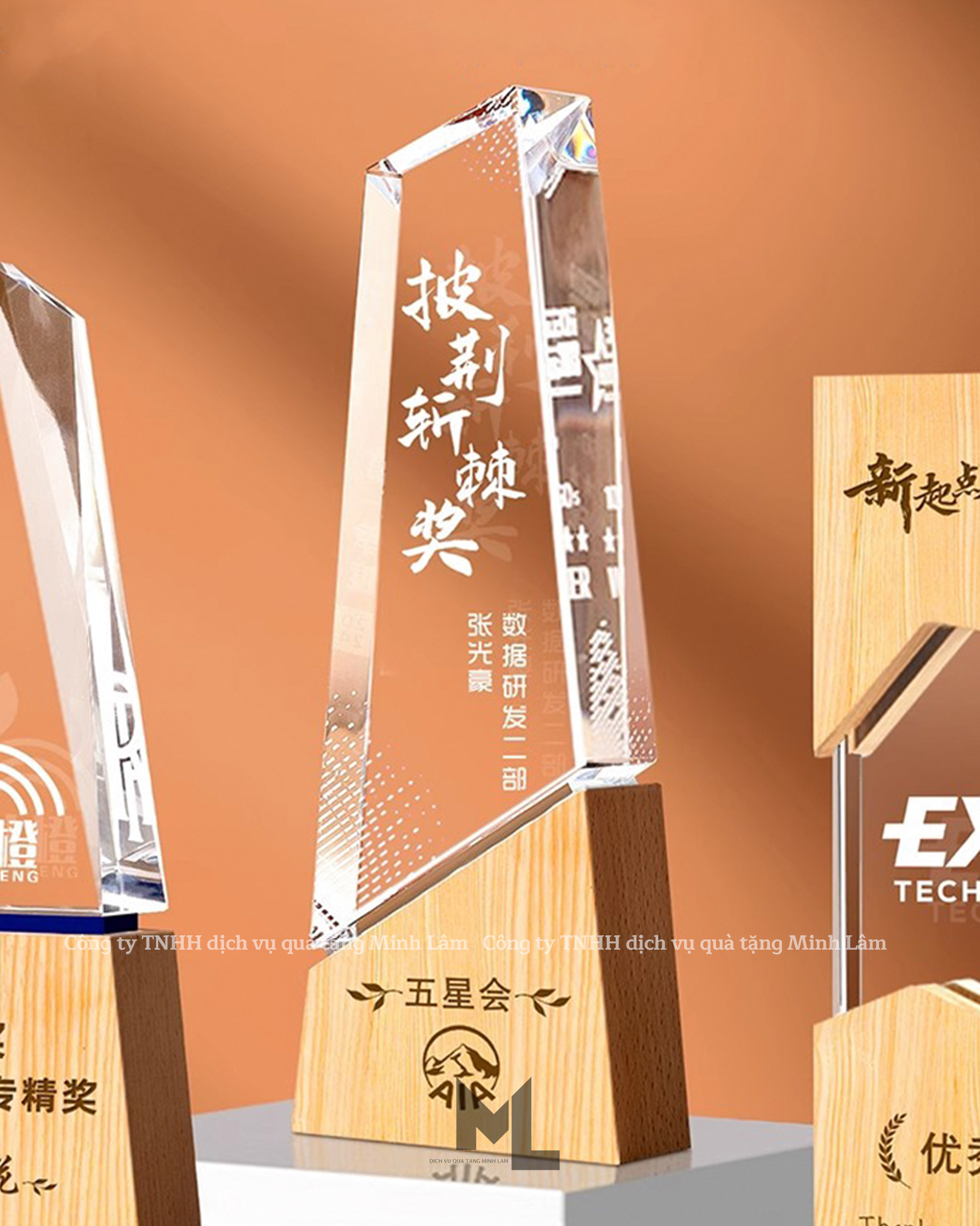 Cúp pha lê cao cấp PL14