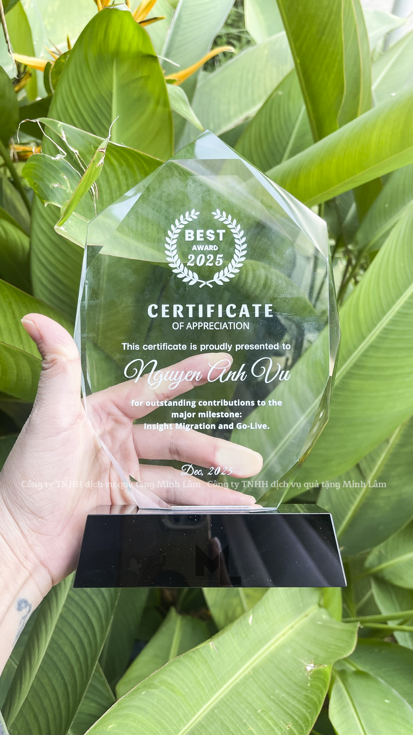Cúp pha lê cao cấp PL04