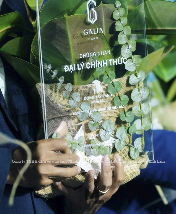 Khung bằng khen mica trong suốt A4 bo góc