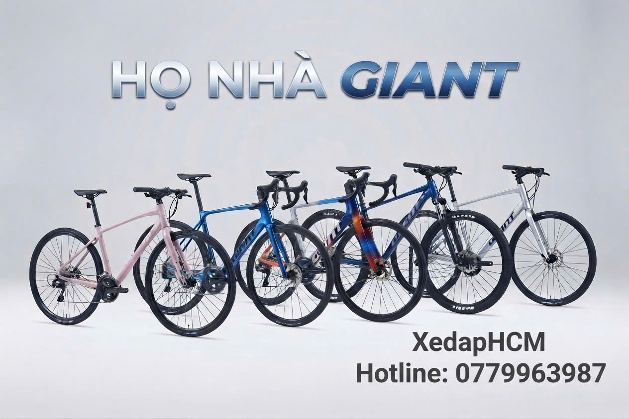 Tổng quan về thương hiệu xe đạp Giant