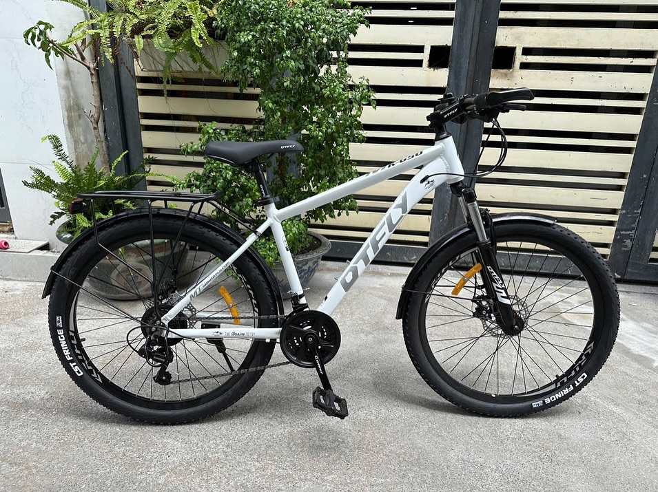 Xe Đạp Địa Hình DTFLY K-650 26 Inch