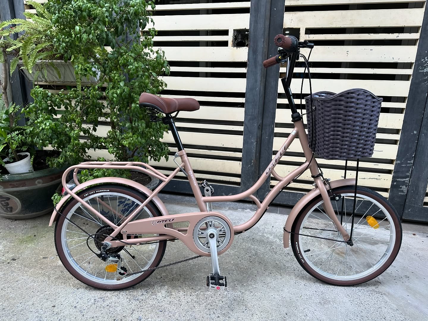 Xe Đạp mini DTFLY MORNING C-04 / 3,Xtr