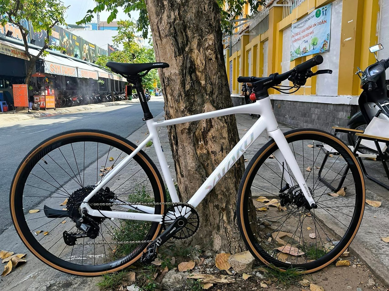 Xe Đạp Đường Phố Touring SATAKO Selyna