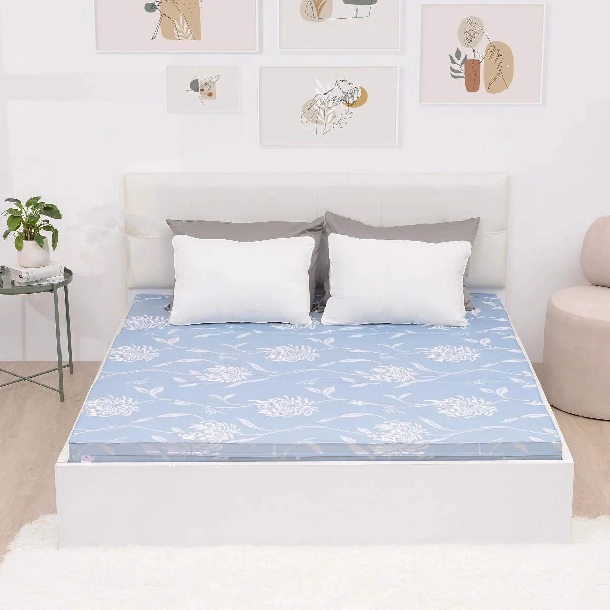 Đệm cứng bông ép tinh khiết SH_DG21 008