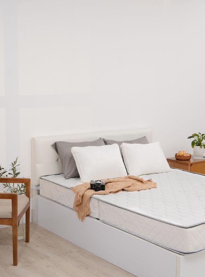 Đệm cứng bông ép tinh khiết mix foam TH3 SH_DF22 003