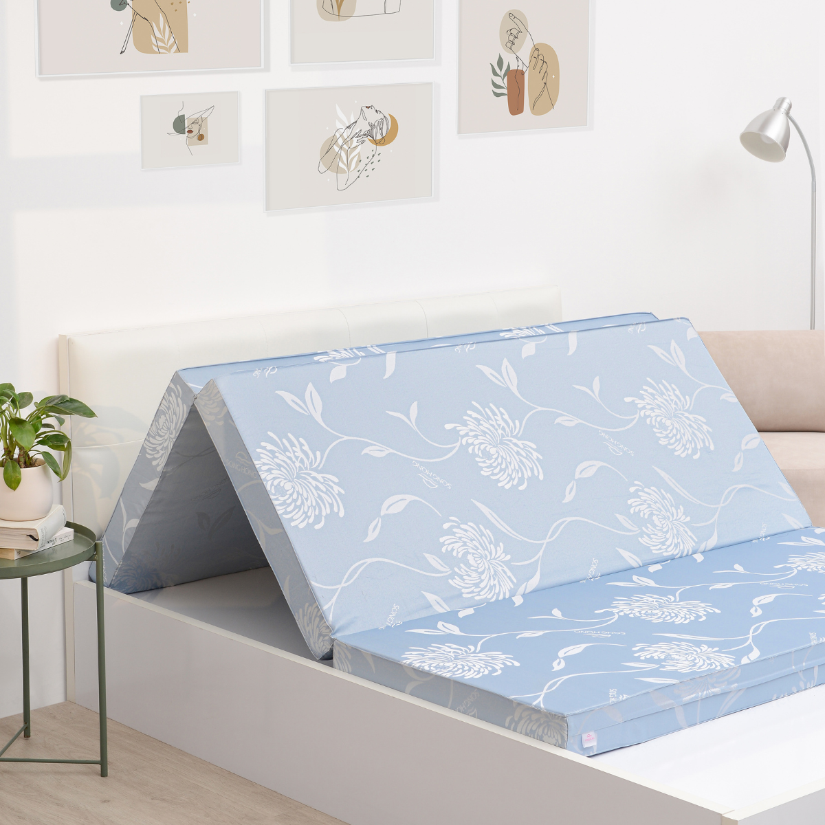 Đệm cứng bông ép tinh khiết SH_DG21 008