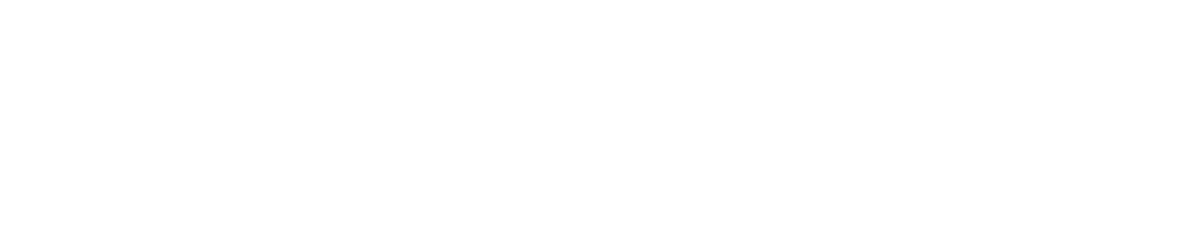 logo Thelight Stu