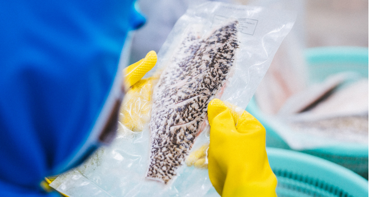 Bốn lý do vàng để bạn có thể an tâm sử dụng cá đông lạnh