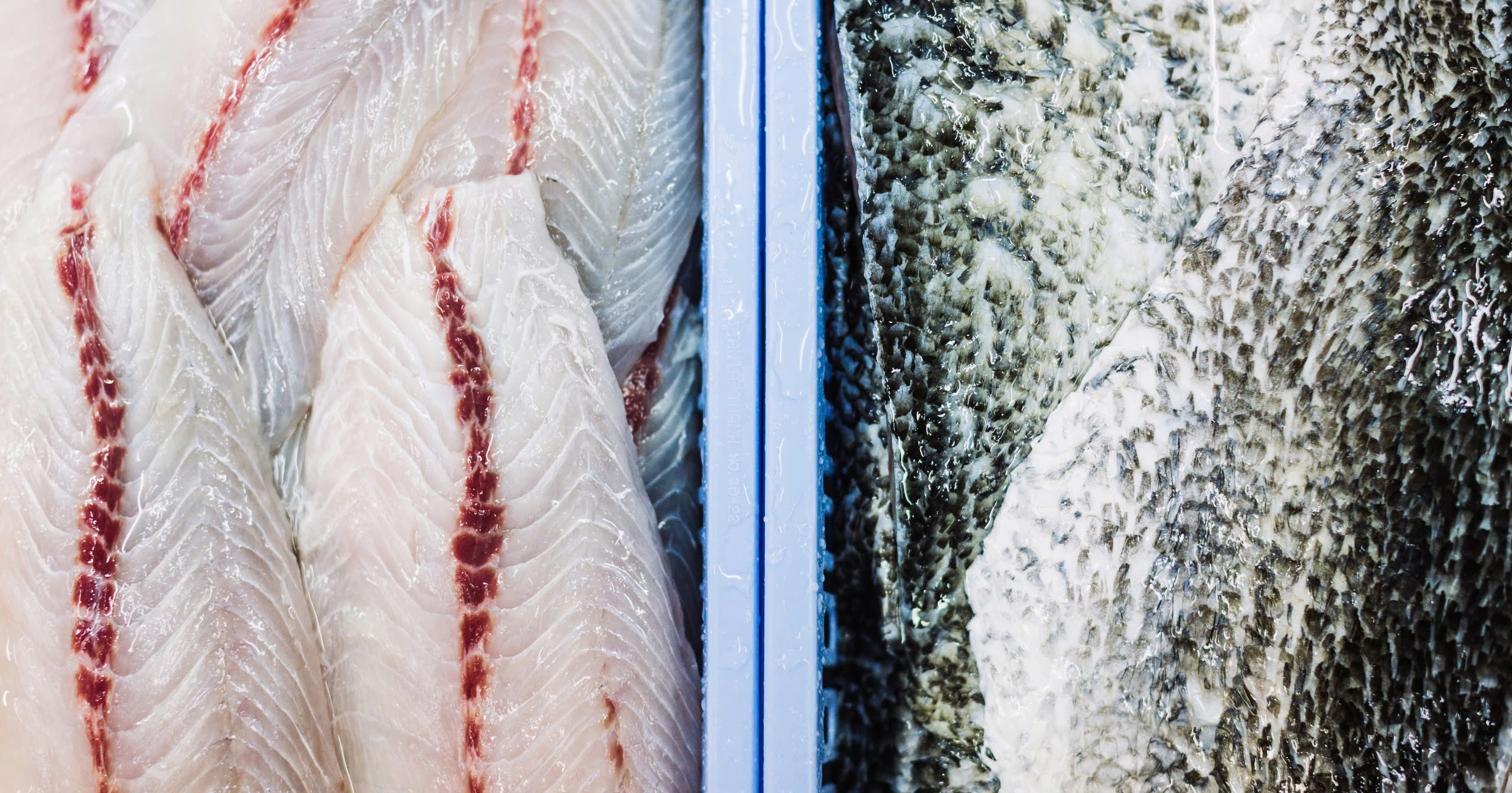 Khoa học: Có nên lo về thủy ngân trong cá?