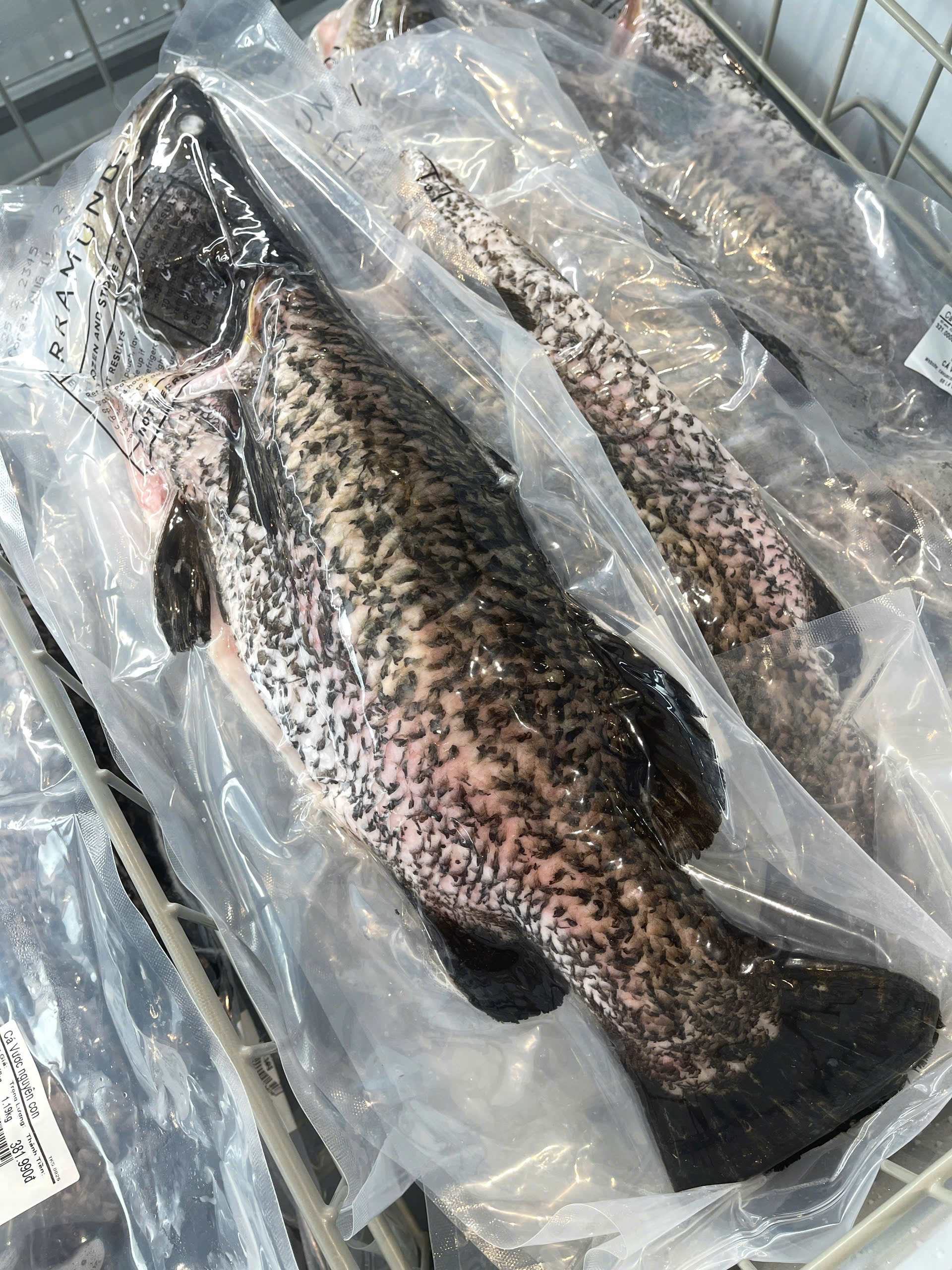 Cá Vược The Better Fish® Nguyên Con Đông Lạnh