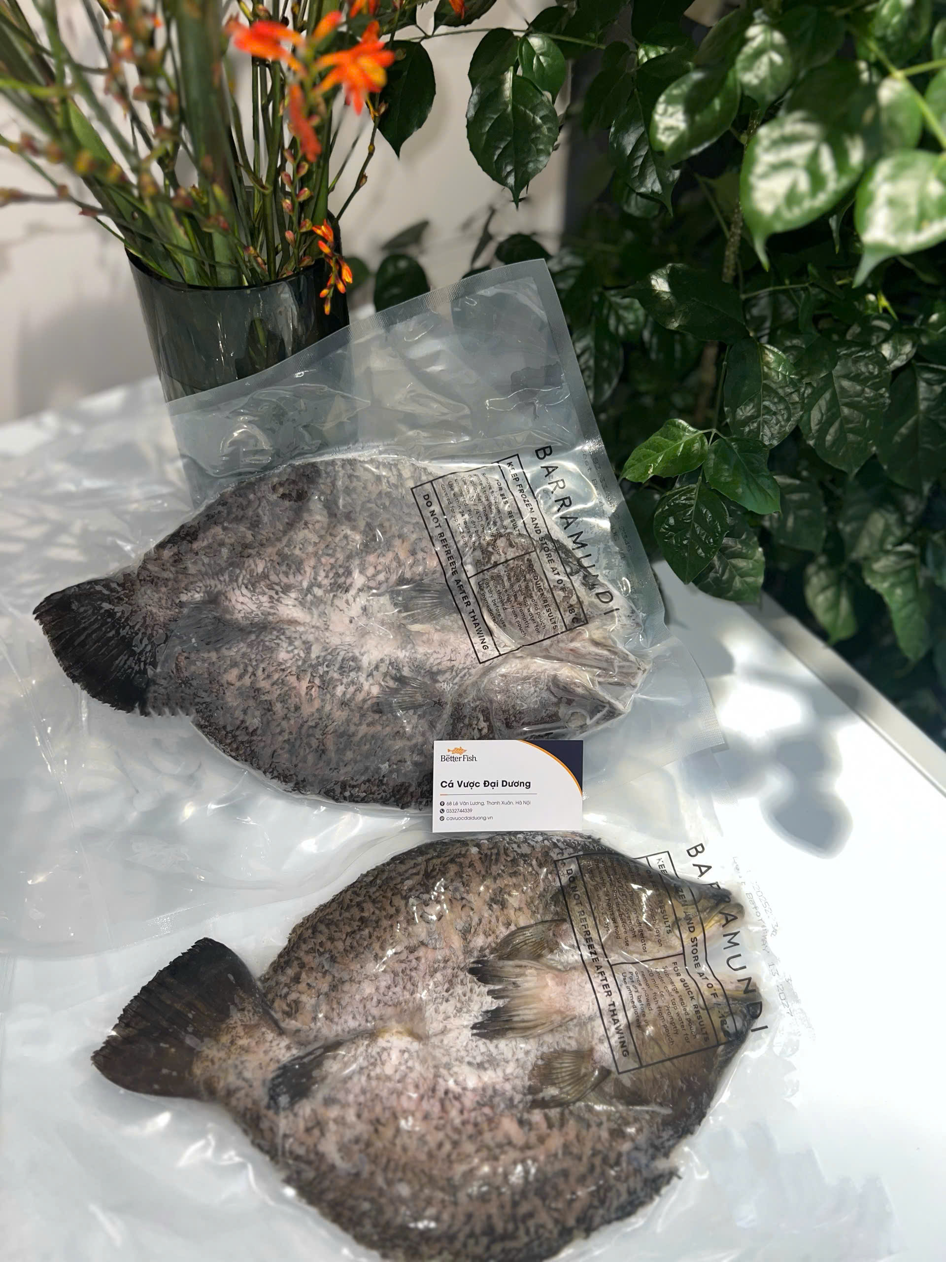 Cá Vược The Better Fish® Cắt Xẻ Bướm