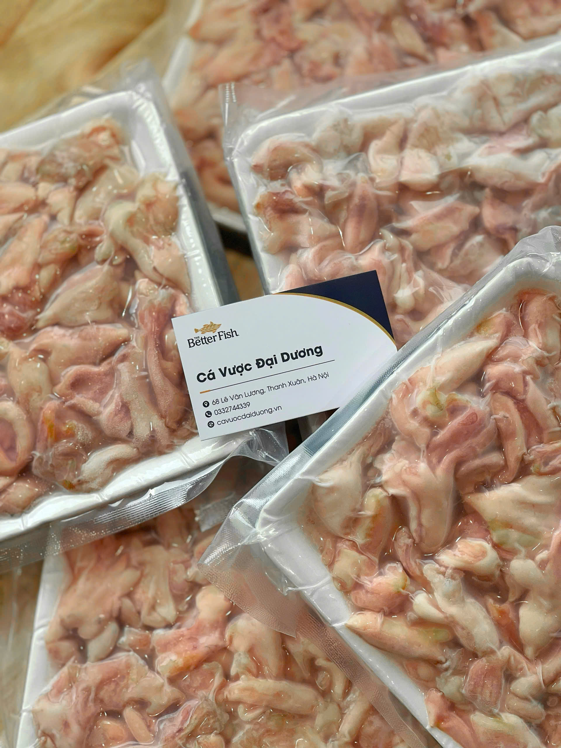 Bao Tử Cá Vược