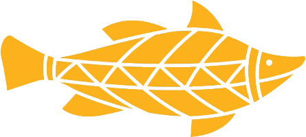 Cá Vược Đại Dương