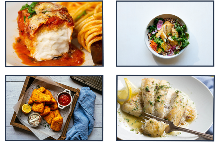 Cá Vược Đại Dương