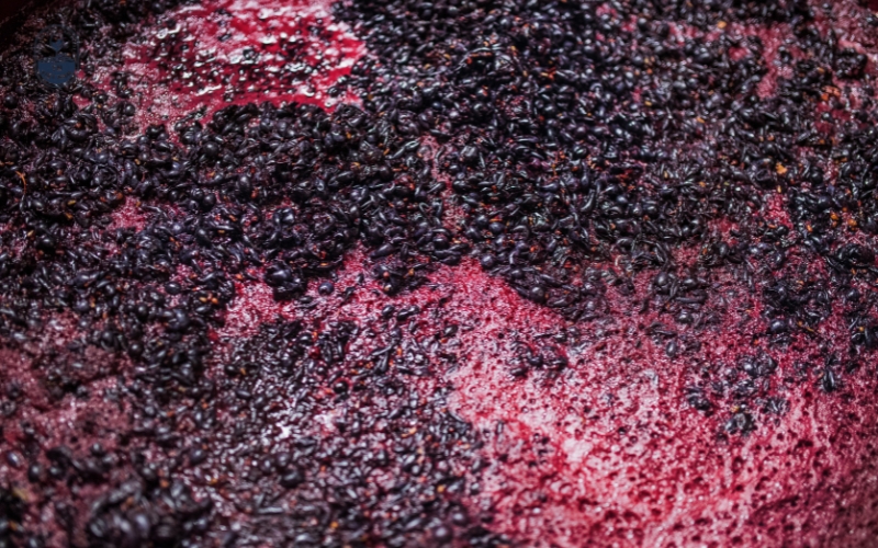 Quá trình lên men